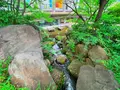 中自然の森の写真_1369318