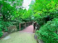中自然の森の写真_1369320