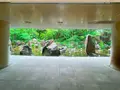 レトロ食堂街 滝見小路の写真_1369336