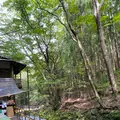 小太郎茶屋の写真_1369351