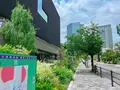 大阪中之島美術館の写真_1369746