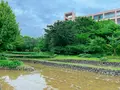 梅田スカイビルの写真_1369866