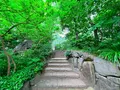 ウェスティンホテル大阪の写真_1369899