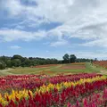那須フラワーワールドの写真_1370307