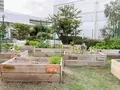 もりのみやキューズモールBASEの写真_1371066