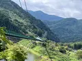 森林の駅　もみじ谷大吊橋の写真_1371083