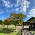 森林の駅　もみじ谷大吊橋の写真_1371084