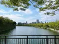 大阪城の写真_1374331