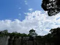 大阪城の写真_1374338