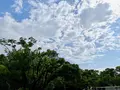 大阪城の写真_1374343