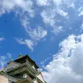 大阪城の写真_1374345