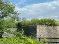 大阪城公園の写真_1374441
