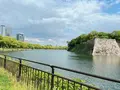 大阪城公園の写真_1374442