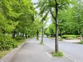 大阪城公園の写真_1374481