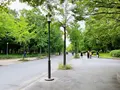 大阪城公園の写真_1374482
