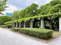大阪城公園の写真_1374483