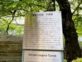 大阪城公園の写真_1374501