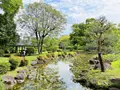 藤田邸跡公園（旧藤田邸庭園）の写真_1374607