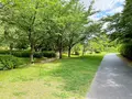藤田邸跡公園（旧藤田邸庭園）の写真_1374610