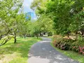 藤田邸跡公園（旧藤田邸庭園）の写真_1374615