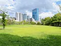 藤田邸跡公園（旧藤田邸庭園）の写真_1374616