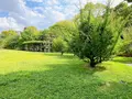 藤田邸跡公園（旧藤田邸庭園）の写真_1374617