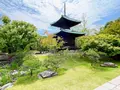 藤田邸跡公園（旧藤田邸庭園）の写真_1374625