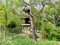 藤田邸跡公園（旧藤田邸庭園）の写真_1374628