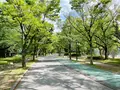 毛馬桜之宮公園の写真_1374644
