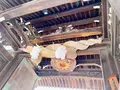 大阪天満宮（天満の天神さん）の写真_1374847