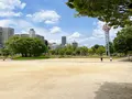 扇町公園の写真_1374914