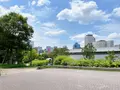 扇町公園の写真_1374918