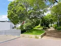 扇町公園の写真_1374919