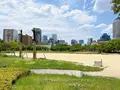 扇町公園の写真_1374923