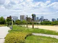扇町公園の写真_1374924