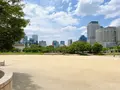 扇町公園の写真_1374925