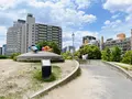 扇町公園の写真_1374934