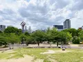 扇町公園の写真_1374951