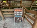 宝石探し トレジャーストーンパークの写真_1375494
