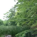 泉谷公園の写真_1376386