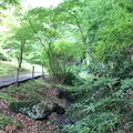 泉谷公園の写真_1376388