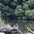 泉谷公園の写真_1376389