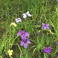 泉谷公園の写真_1376391
