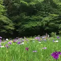 泉谷公園の写真_1376392
