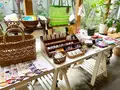 aozora(あおぞら)の写真_1381834