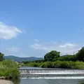 半木の道の写真_1382393