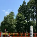 上賀茂神社（賀茂別雷神社）の写真_1382401