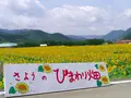 南光スポーツ公園（若あゆランド）の写真_138252