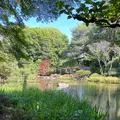 平安神宮の写真_1382546