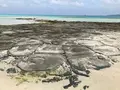 奥武島の畳石の写真_1384302